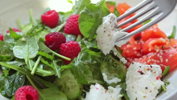 Tuzlu somon, ricotta ve ahududu salatası.. — Stok video
