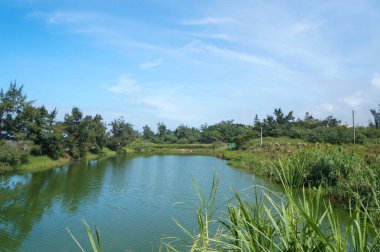 Still pond reflecting sky and greenery in rural.