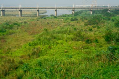 Kırsaldaki nehir ve ağaçların manzarası