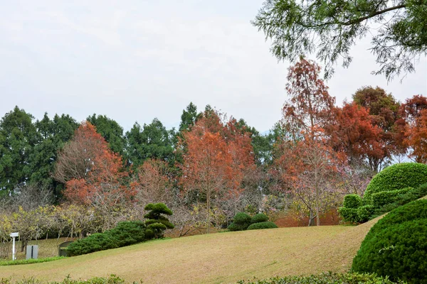 Ağaçlar ve yapraklarla dolu güzel sonbahar manzarası