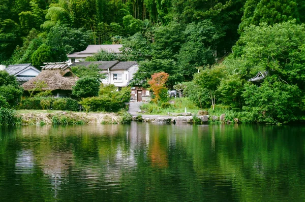 Güzel göl manzarası