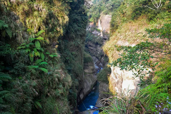 Ormanın ortasındaki nehrin güzel manzarası.