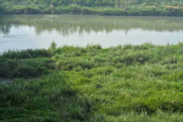 ormandaki nehir manzara