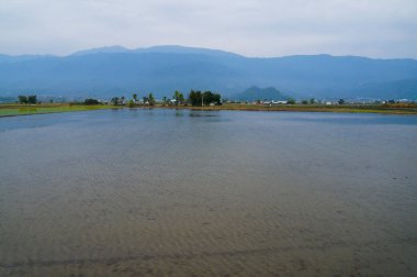 Sabah pirinç tarlalarının ve dağların havadan görünüşü