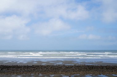 Sahilde deniz dalgaları. Arka planda bulutlu bir gökyüzü.