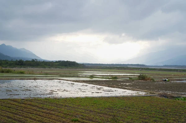 Tayland 'daki tarlaların ve dağların manzarası