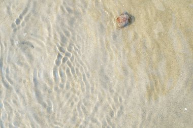 deniz suyu arka planı, kum dokusu