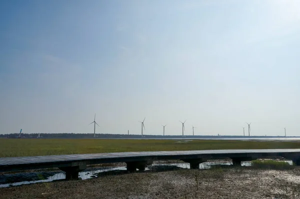 Hollanda kırsalında yel değirmenleri