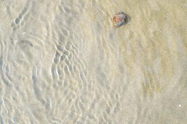 deniz suyu arka planı, kum dokusu