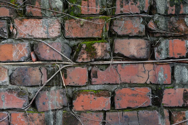 eski tuğla duvar arkaplanı