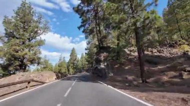 POV, mavi gökyüzünün altında kayalık bir manzarayla çam ormanı boyunca boş bir asfalt dağ yolu boyunca sürüyordu. Manzaralı doğa yolu, seyahat ve macera konsepti.