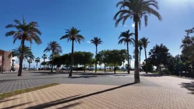 Palmiye ağaçlarıyla geniş güneşli bir gezinti alanı ve deniz kenarında asfalt bir meydan, mavi gökyüzü ve tropikal kıyı atmosferi, seyahat ve tatil beldesi konsepti