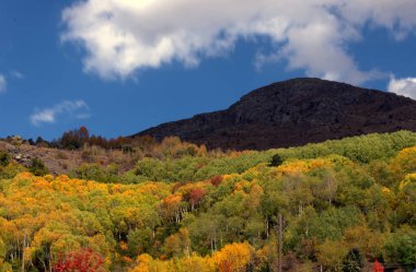 İskoçya 'daki sonbahar senfonisi, Türkiye' nin kuzeyindeki dağlık bölgelerde sonbahar mevsiminin saf ve canlı ruhunu yakalıyor..