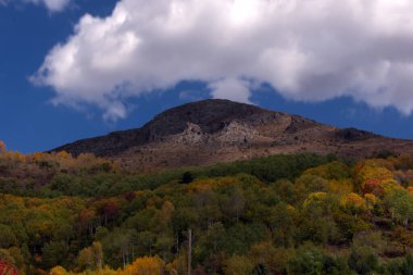 İskoçya 'daki sonbahar senfonisi Kuzey Trkiye' nin dağlık bölgelerinde sonbahar mevsiminin saf ve canlı ruhunu yakalıyor.