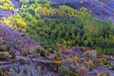 İskoçya 'daki sonbahar senfonisi Kuzey Trkiye' nin dağlık bölgelerinde sonbahar mevsiminin saf ve canlı ruhunu yakalıyor.