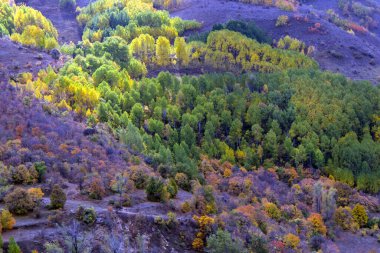 İskoçya 'daki sonbahar senfonisi Kuzey Trkiye' nin dağlık bölgelerinde sonbahar mevsiminin saf ve canlı ruhunu yakalıyor.