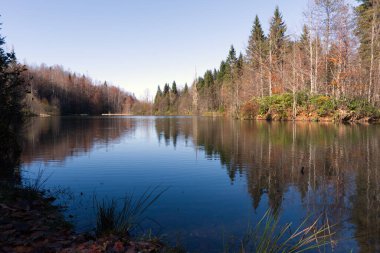 Parlak sonbahar renklerini (sarılar, portakallar, kırmızılar) gösteren ağaçlarla birbirine karışmış yeşil çam ağaçlarının yer aldığı karışık bir sonbahar döneminde, karışık bir ormanın renkli bir manzarası, hepsi bir gölün derin mavi ve durgun sularına kusursuz bir şekilde yansımıştır.