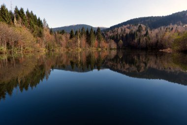 Büyüleyici bir sonbahar sahnesi. Huzurlu bir göl sunuyor. Renkli yaprak döken ağaçlar ve sonsuz yeşil çam ormanlarıyla çevrili..