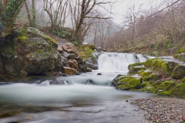 Giresunn 'daki küçük yosunlu kayalıkların üzerindeki küçük orman şelalesi canlı yeşil yosun ve sisli orman arka planıyla kayalık bir nehir yatağında şelaleye uzun süre maruz kalıyor..