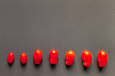 Gri arka planda kırmızı domatesler, metin için boşluk. Yüksek kalite fotoğraf