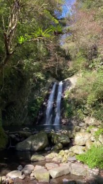 Smangus, Jianshi Kasabası, Hsinchu, Tayvan 'daki Dev Ağaç Yolu üzerindeki Silif Şelalesi
