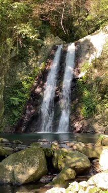 Smangus, Jianshi Kasabası, Hsinchu, Tayvan 'daki Dev Ağaç Yolu üzerindeki Silif Şelalesi