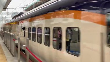 Tokyo İstasyonu, JAPAN - OCT 26, 2024 JR Shinkansen 