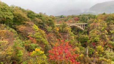 Ofukazawa Köprüsü 'ne bakıyor. Naruko Boğazı 'ndaki Japonya' nın ünlü manzaralı yeri 