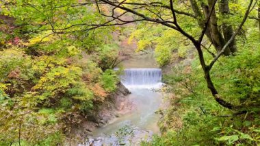 Naruko Boğazı Yürüyüş Yolu 'nun yanında küçük bir şelale. Naruko Gorge, Japonya 'da iyi bilinen bir sonbahar turistik merkezidir..