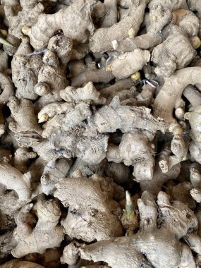Close-up photo of ginger in market. Vegetable texture and background.
