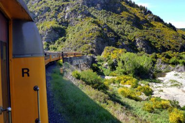 Viyadük üzerinde bir tren. Taieri Gorge Demiryolu, Güney Adası, Yeni Zelanda.