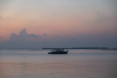 Güneş ufukta batarken bazı yunuslar sakin okyanustan sıçrayıp, sıcak turuncu ve altın tonlarında gökyüzünü ve suyu renklendiriyor. Siluetler özgürlüğü, hareketi ve dokunulmamış doğayı ifade eder..