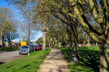 Saffron Walden, Essex, İngiltere - 15 Ocak 2024: Güneşli bir günde Köprü Ucu GardensA 'nın pitoresk yollarından akan dere Saffron Walden, Essex' te olgun ağaçlarla kaplandı. Arabalar yol boyunca park halinde..