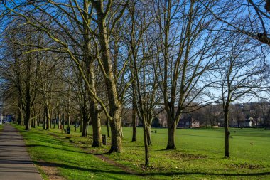 Saffron Walden, Essex, İngiltere - 15 Ocak 2024: Köprü Ucu Bahçeleri 'nden akan dere, Saffron Walden' daki kaldırımın yanındaki çıplak dallı ağaçlardan oluşuyor.