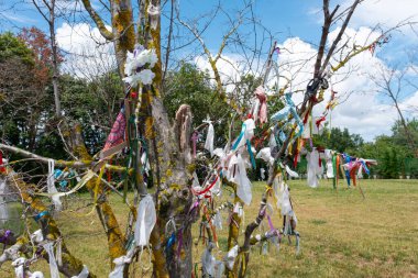 Colored wish ribbons tied on the branches of a tree. Wish Tree branches tied with colorful ribbons. Wish, hope, tradition and ritual concept