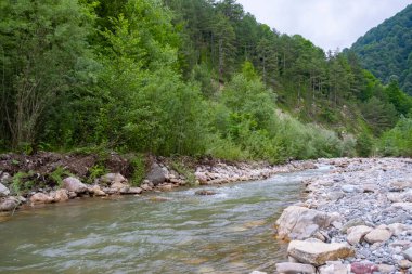 Water among forest and rocky shore. River in mountain forest. Mountain river flowing through the green trees