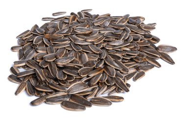 Sunflower seed roasted isolated on white background