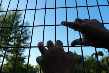 Metal çitleri tutan eller. Ağaç arka planına karşı tel örgüleri tutan bir adam. Özgürlük, umut ve hapis kavramı