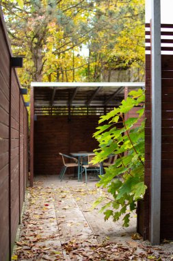 Bu davetkar açık alan yapraklarla dağılmış ahşap bir güverteye sahiptir. Küçük bir masa ve sandalyeler, canlı sonbahar yapraklarıyla çerçevelenmiş bir barınağın altında, huzurlu bir geri çekilme yaratıyor..