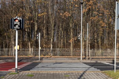 Trafik ışıkları değişirken sakin bir yaya geçidi görülüyor. Etrafındaki ağaçlar çıplak, bu da sonbaharın sonlarına doğru olduğunu gösterir. Bölgede minimum hareketlilik var..