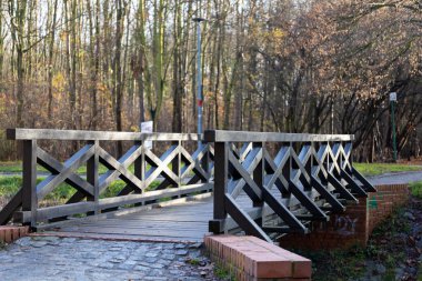 Tahta bir köprü ormandaki küçük bir su yolunu kapsar. Çevrede sonbahar renkleriyle süslenmiş ağaçlar var. Sahne sakinlik ve sükuneti çağrıştırıyor, patikaları keşfetmeye davet ediyor..