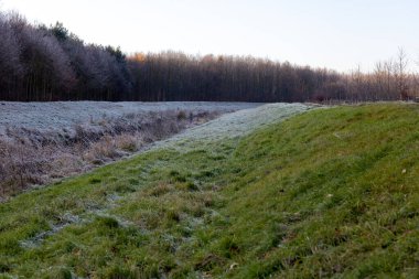 Sabahın erken saatlerinde çimlerin üzerinde don olan sakin bir manzara ortaya çıkar. Yumuşak bir eğim ağaçların arasına yerleşmiş canlı sonbahar renklerini gösteren bir ağaç hattına götürür..