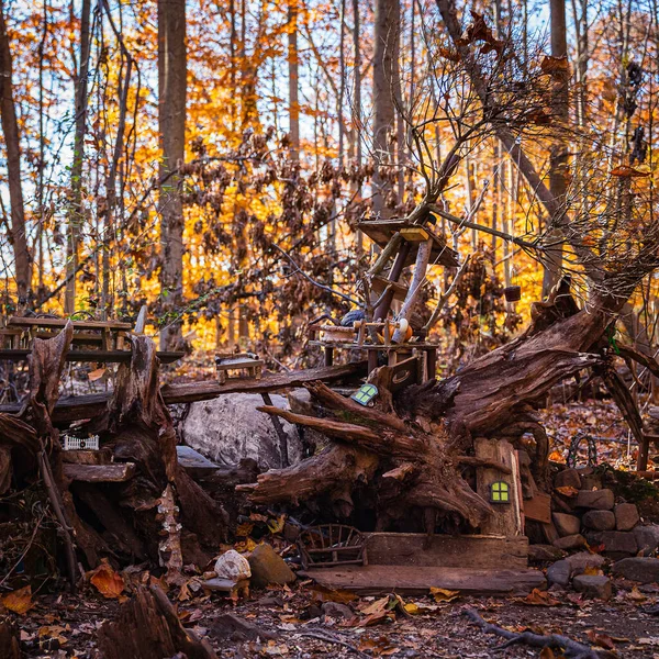 西橙，新泽西州- 2020年11月9日：美国新泽西州埃塞克斯县南山保护区的仙境 — 图库照片