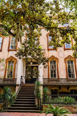 Savannah, Georgia, ABD 'de güzel caddeler ve evler