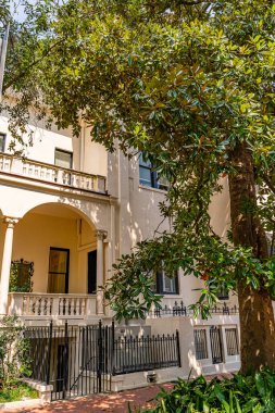 Savannah, Georgia, ABD 'de güzel caddeler ve evler