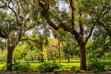 Savannah, Georgia 'da güzel bir park..