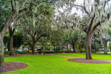 Savannah, Georgia, ABD 'de güzel caddeler ve evler