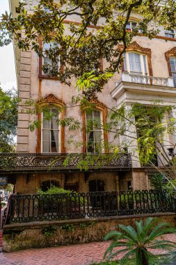 Savannah, Georgia, ABD 'de güzel caddeler ve evler.