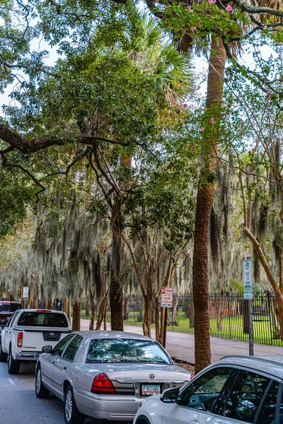 Belle strade e case nel centro di Savannah, Georgia, Stati Uniti — Foto Stock