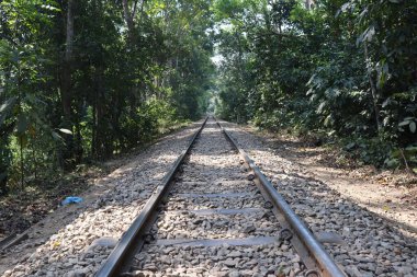 Lawachora Ormanı 'ndan geçen tren yolu.